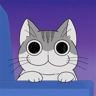 Вечера с котом
